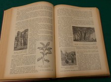 Bellissimo libro geografia usato  Torino