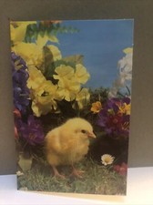 Happy easter greeting for sale  Colonia