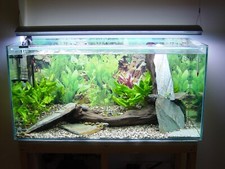 fish tank lights t5 for sale  WORCESTER PARK