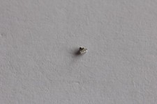 Vite screw 1pcs usato  Napoli