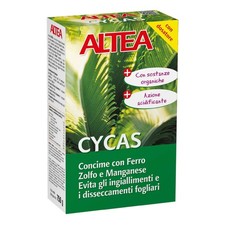 Altea cycas concime usato  Qualiano