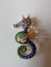 cavalluccio marino usato  Ragalna