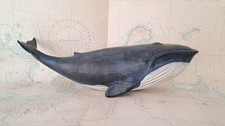 Balenottera azzurra effetto usato  Italia