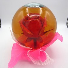 Globo cúpula bola de água vintage preservado rosa vermelha glitter em vidro - Grande 5,5” comprar usado  Enviando para Brazil