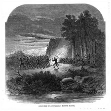 Australia native dance for sale  GLASGOW