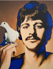 Richard avedon ringo usato  Roma