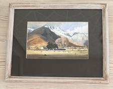 Framed watercolour print for sale  TELFORD