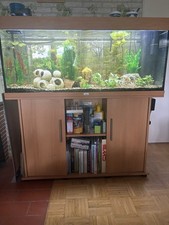 Juwel rio 240 gebraucht kaufen  Deisenhofen