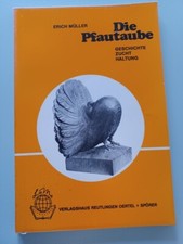 Pfautaube rassetauben pigeon gebraucht kaufen  Wathlingen
