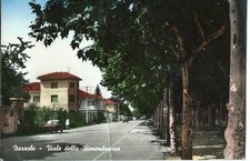 Cartolina narzole viale usato  Teramo