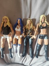 Wwe divas mattel for sale  BIRMINGHAM