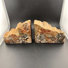 Agatized petrified wood for sale  Castle Rock