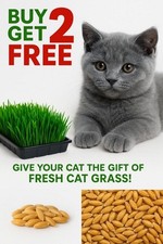 1250 organic cat for sale  STAINES-UPON-THAMES