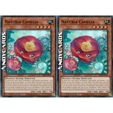 Naturia camelia super usato  Ravenna