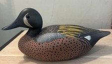 Blue winged teal for sale  Beaufort
