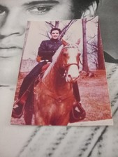 elvis graceland for sale elvis graceland for sale WARRINGTON
