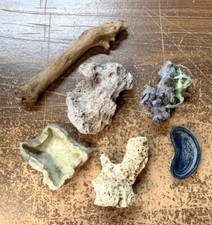 Reptile terrarium accessories for sale  Ramona