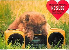 Animaux chiens chow d'occasion  Fruges