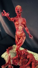 Julia hellraiser skinnless gebraucht kaufen  Waldshut-Tiengen