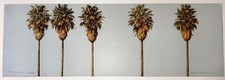 Five palm trees for sale  Topanga
