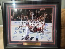 1980 miracle ice for sale  Frederica