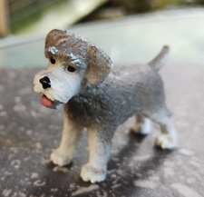 toy miniature schnauzer for sale toy miniature schnauzer for sale LONDON