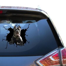 Cane corso decal d'occasion  Expédié en Belgium