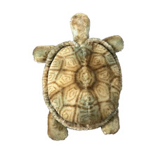 Steiff turtle mohair for sale  Ocala
