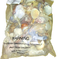 Assorted sea shells for sale  Chicago