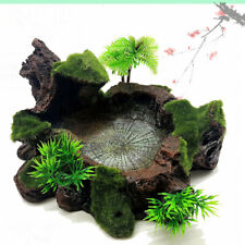 Reptile feeding bowl for sale  HATFIELD