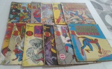 Uomo ragno gigante usato Uomo ragno gigante usato  Chioggia