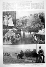 Old print devon for sale  UK