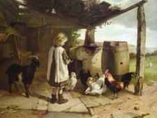 Little girl goat for sale  Ahsahka
