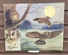 Eileen soper print for sale  WIGAN
