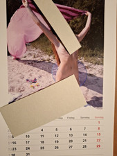 kalender gebraucht kaufen  Horn-Bad Meinberg