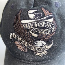 Harley davidson live for sale  Portage