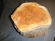 Bois cyprès lambert d'occasion  Guilers