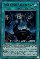 Floraison ragnaraika ur d'occasion  France