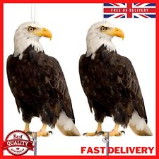 2pcs hawk bird for sale  DERBY