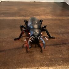 Beetle giant stag for sale  Chesapeake