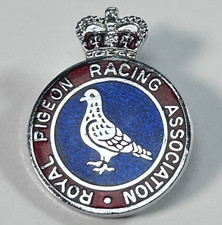 Vintage royal pigeon for sale  CHELTENHAM