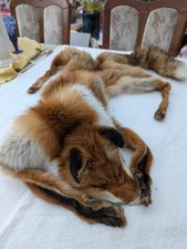 Fuchsfell deko mittelalter gebraucht kaufen  Neustrelitz