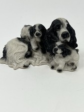 Black white cocker for sale  Pemberton