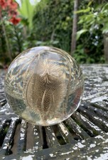 Original collection hafod for sale  ELLESMERE