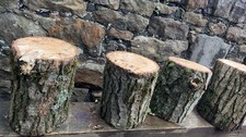 Tree stumps 1ft for sale  LANCASTER