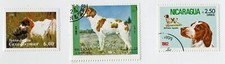 Brittany spaniel vintage for sale  COLEFORD