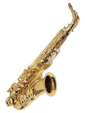 Yanagisawa sassofono strumento usato  Spedire a Italy