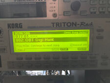 Tela de substituição KORG Triton RACK LCD VIDRO display NOVO!!! comprar usado  Enviando para Brazil