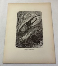 1885 print hercules for sale  Wilmington