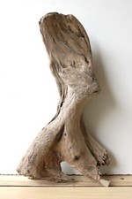 Treibholz schwemmholz driftwoo gebraucht kaufen  Halblech